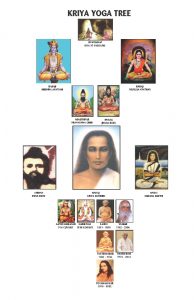 Babaji Kriya Yoga Tree